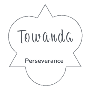 Towanda House logo